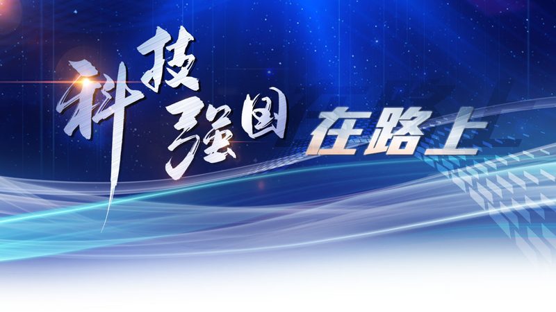 微服务架构下的权限管理：挑战与解决方案