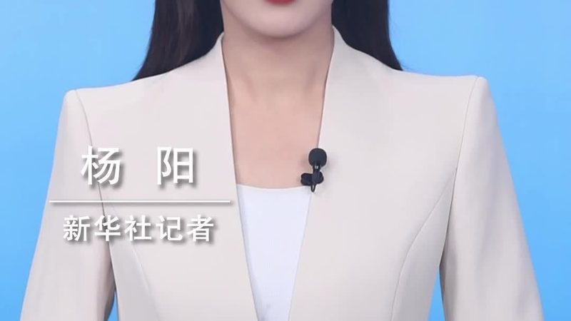 数据中台在省级政府项目中的应用与实践